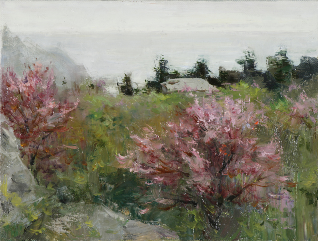 Alexander Evgenievich Kosnichev. Flowering in Artek