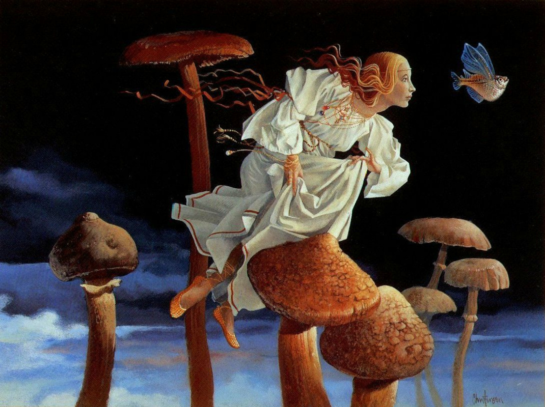 James Christensen. Mushrooms