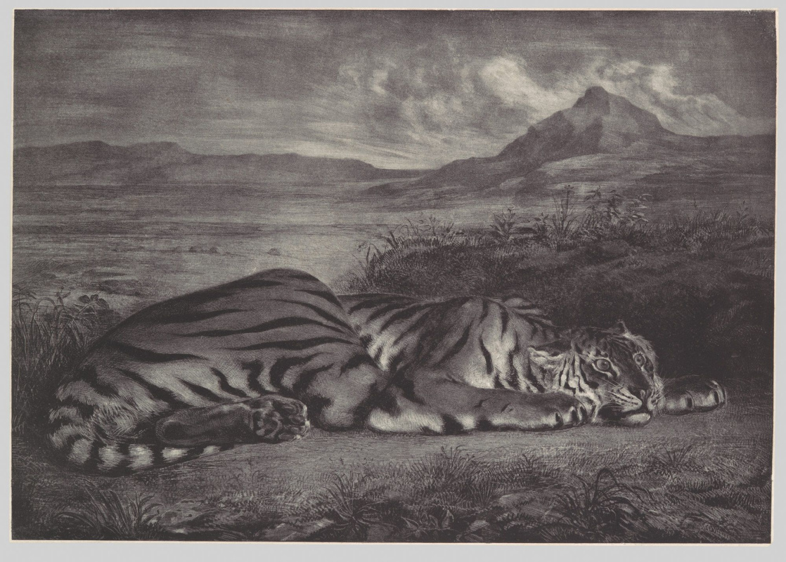 Эжен Делакруа. Королевский тигр