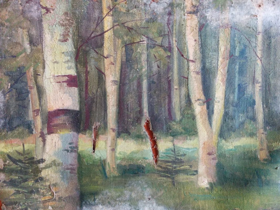 Dmitry Arkadevich Laptev. Birches