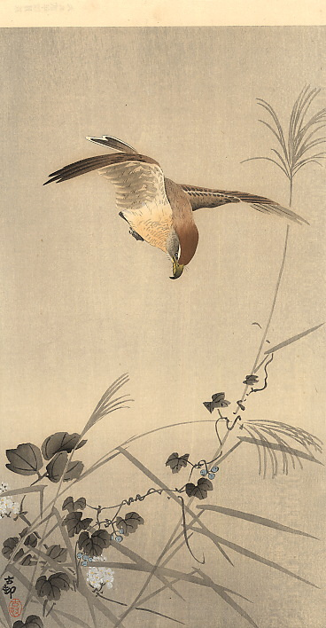 Ohara Koson. Birds 81