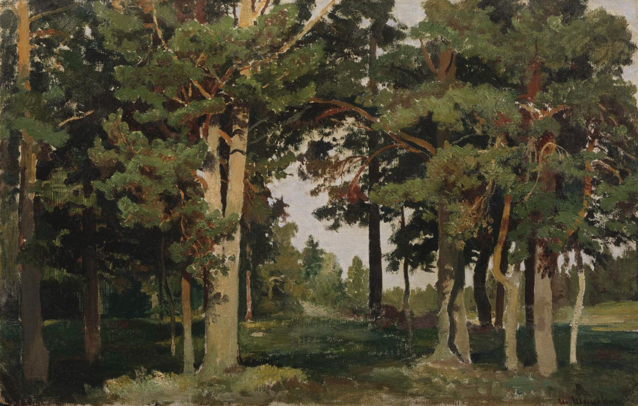 Ivan Ivanovich Shishkin. Forest