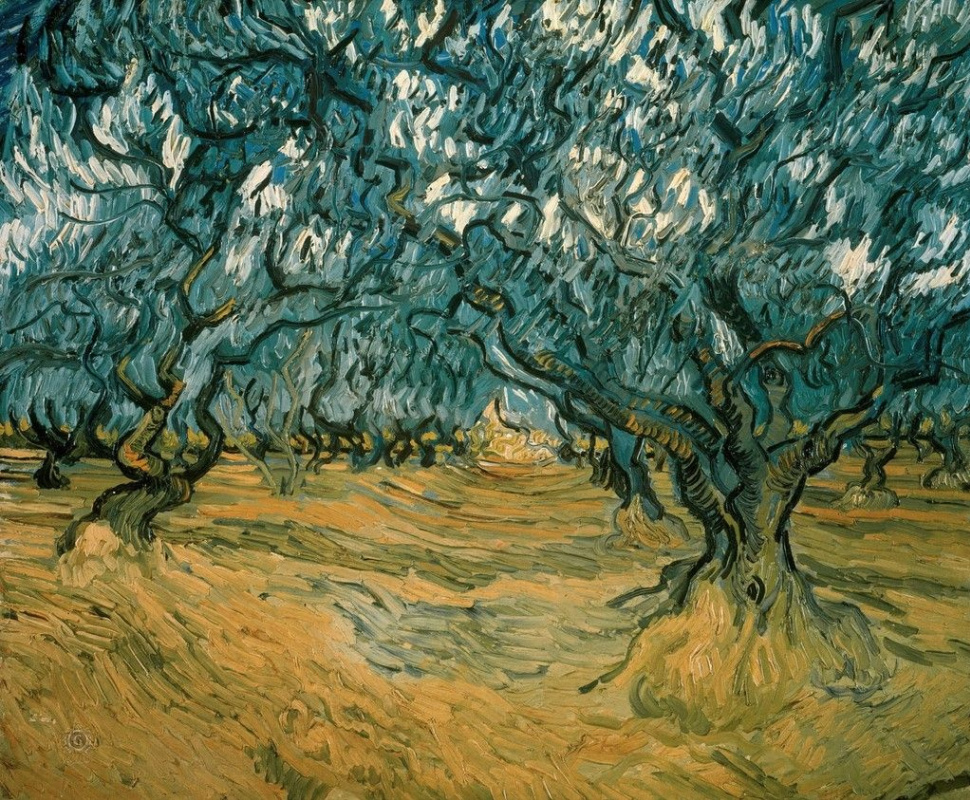 Vincent van Gogh. Olive grove