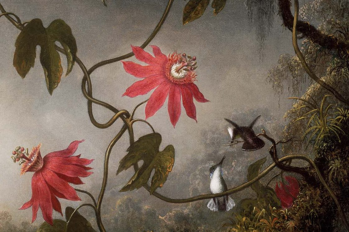 Martin Johnson Head. Passion flower and three hummingbirds. Fragment