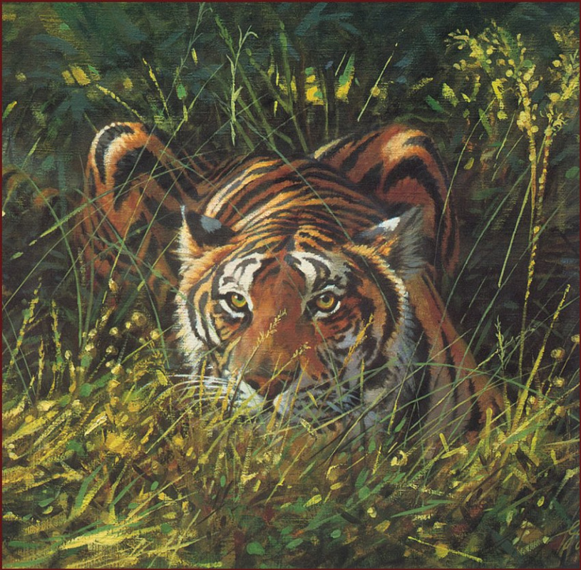 Guy Cohelich. Stripes on the grass