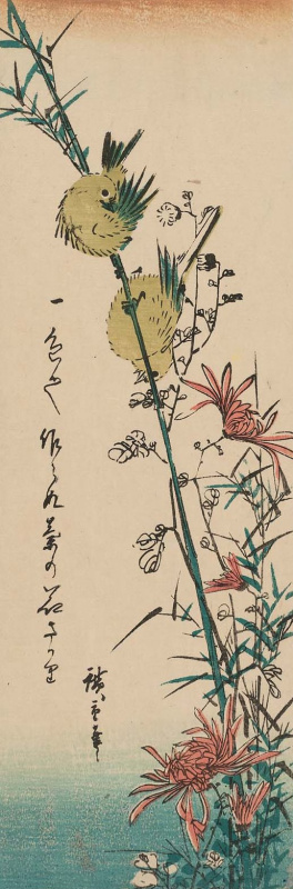 Utagawa Hiroshige. Pair of Japanese white-eye and wild chrysanthemum. Series "Birds and flowers"
