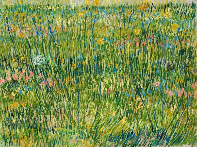 Vincent van Gogh. Patch of grass