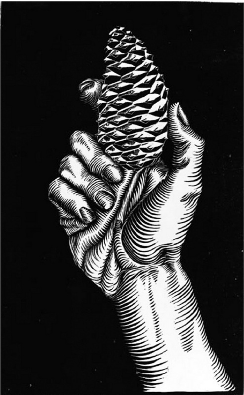 Maurits Cornelis Escher. Hand with a bump