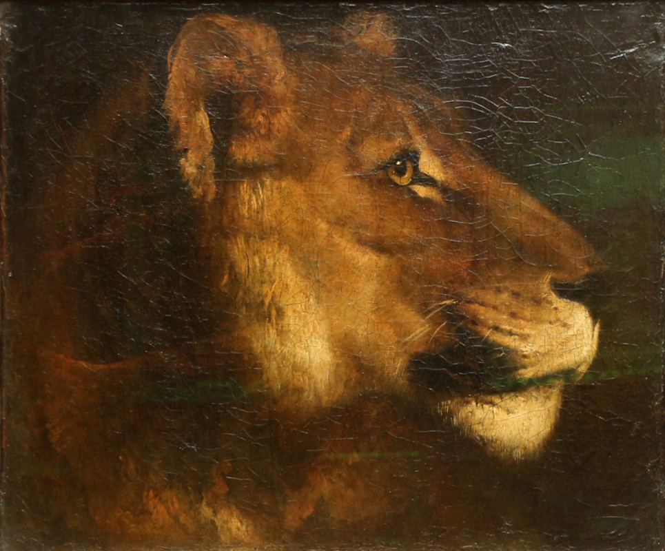 Théodore Géricault. Lioness