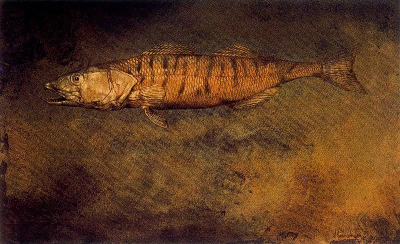 Jose Hernandez. Fish