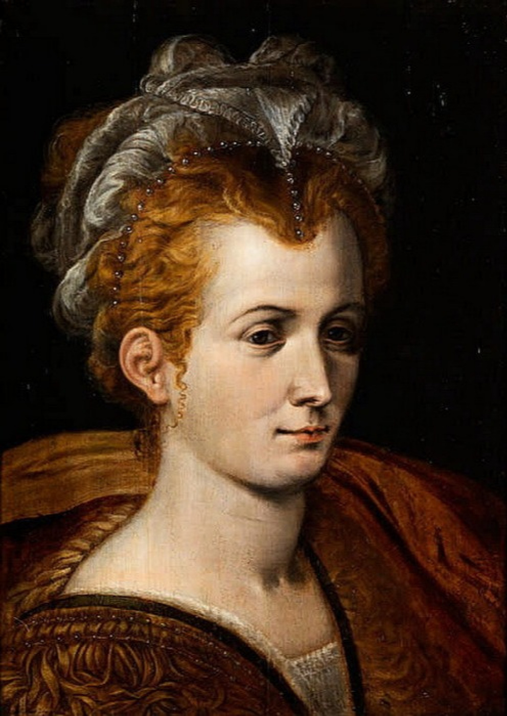 Frans Floris Portrait of a court lady, XVI, 36×50 cm: Description