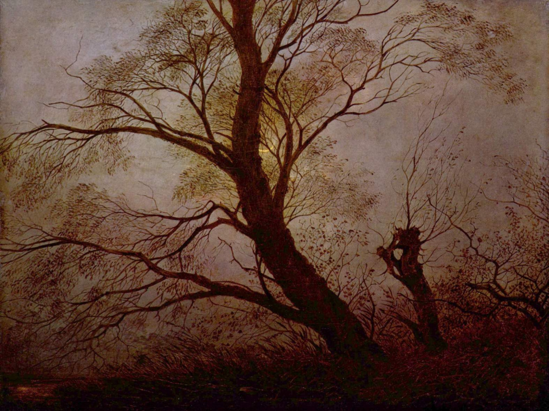 Caspar David Friedrich. Trees in the moonlight