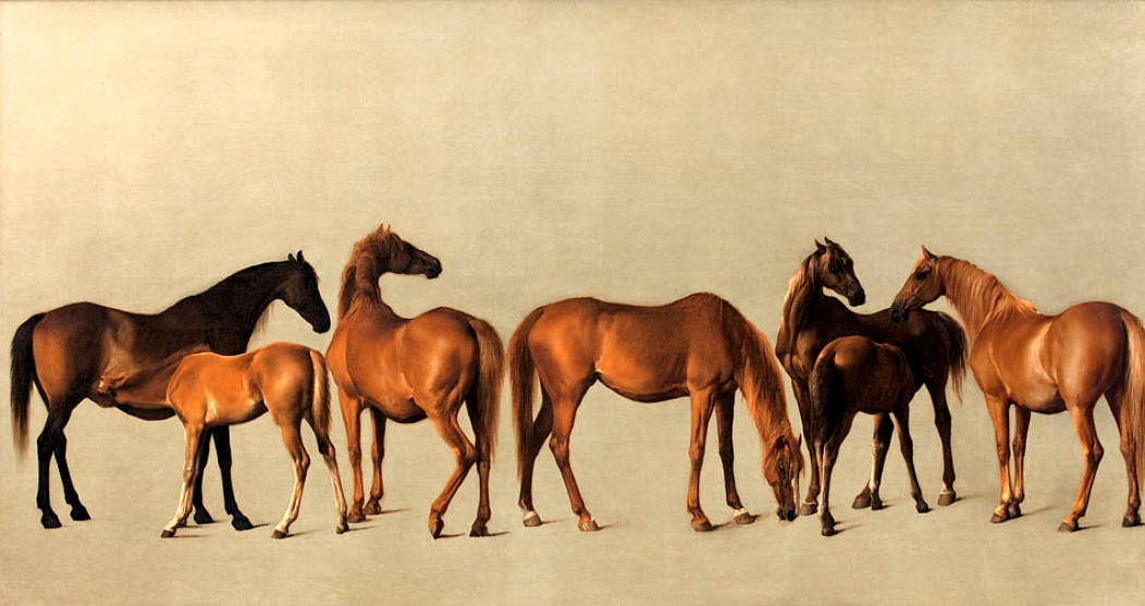 George Stubbs. Horses and foals without a background