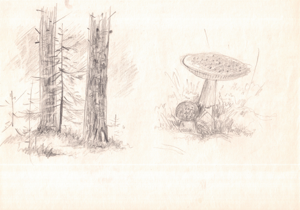 Arkady Pavlovich Laptev. Forest sketch