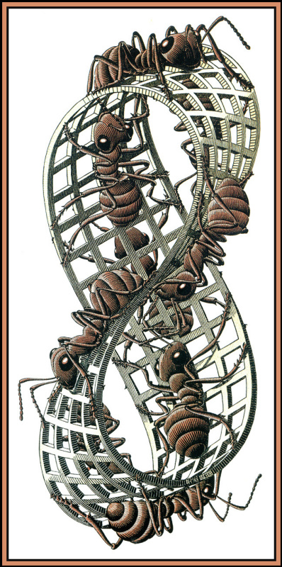 Maurits Cornelis Escher. Mobius strip 2