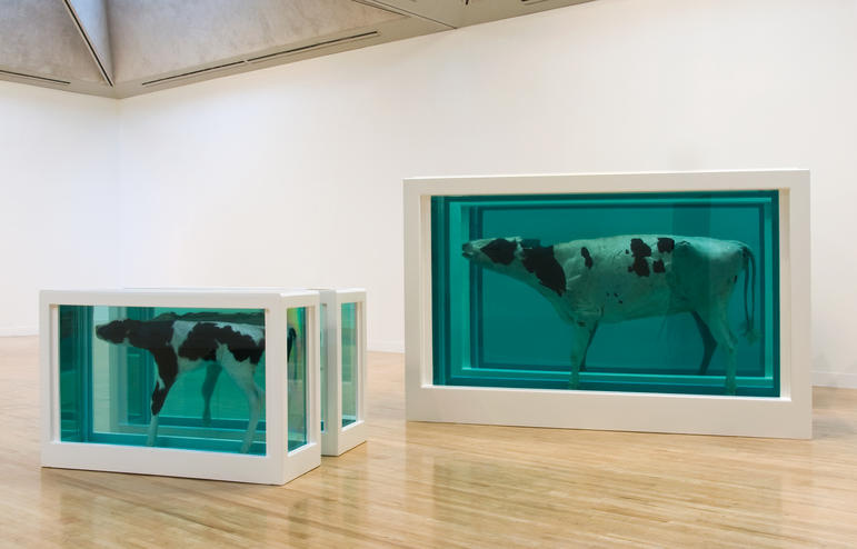 Damien Hirst. 母子分开