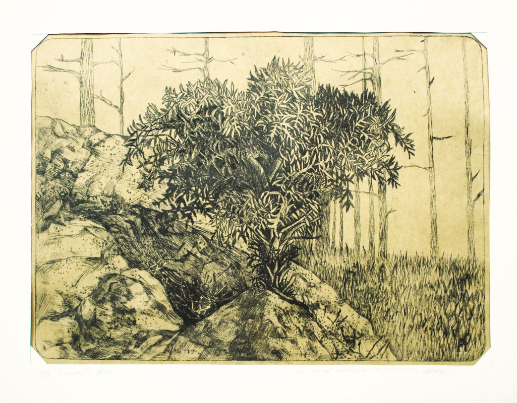 Elena Vladimirovna Chmel. "Forest plant" lithography