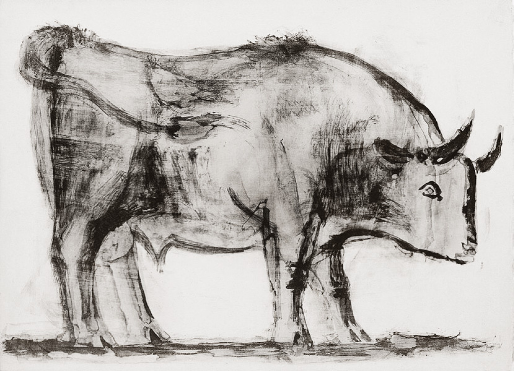 Pablo Picasso Bull. Stage 1, 1945, 44×30 厘米：作品描述| Arthive