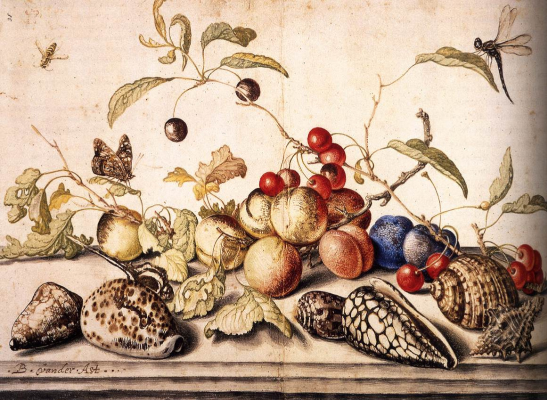 Balthasar van der Ast. Still life with cherries, plums and sinks