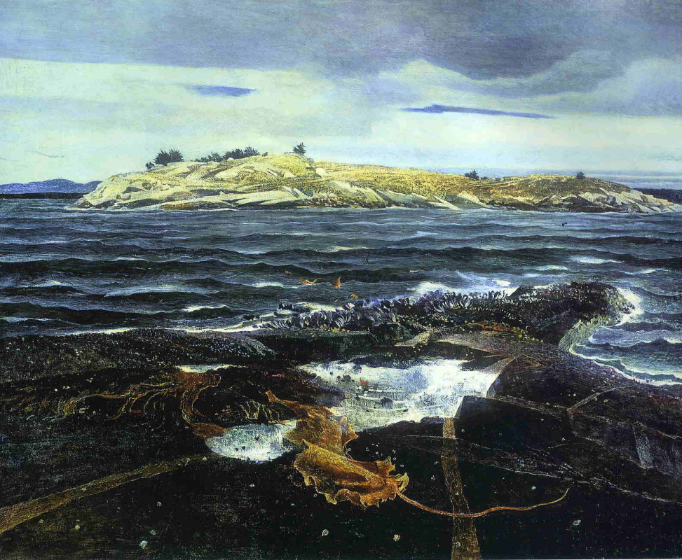 Andrew Wyeth. Island Little Caldwell