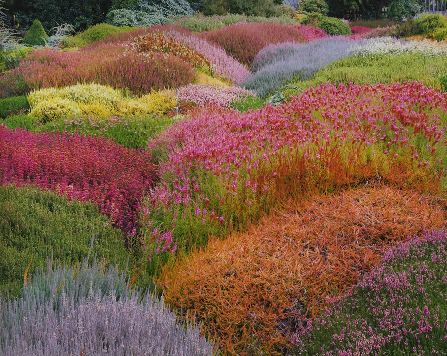 Christopher Burkett. Summer in Heather Gardens, California