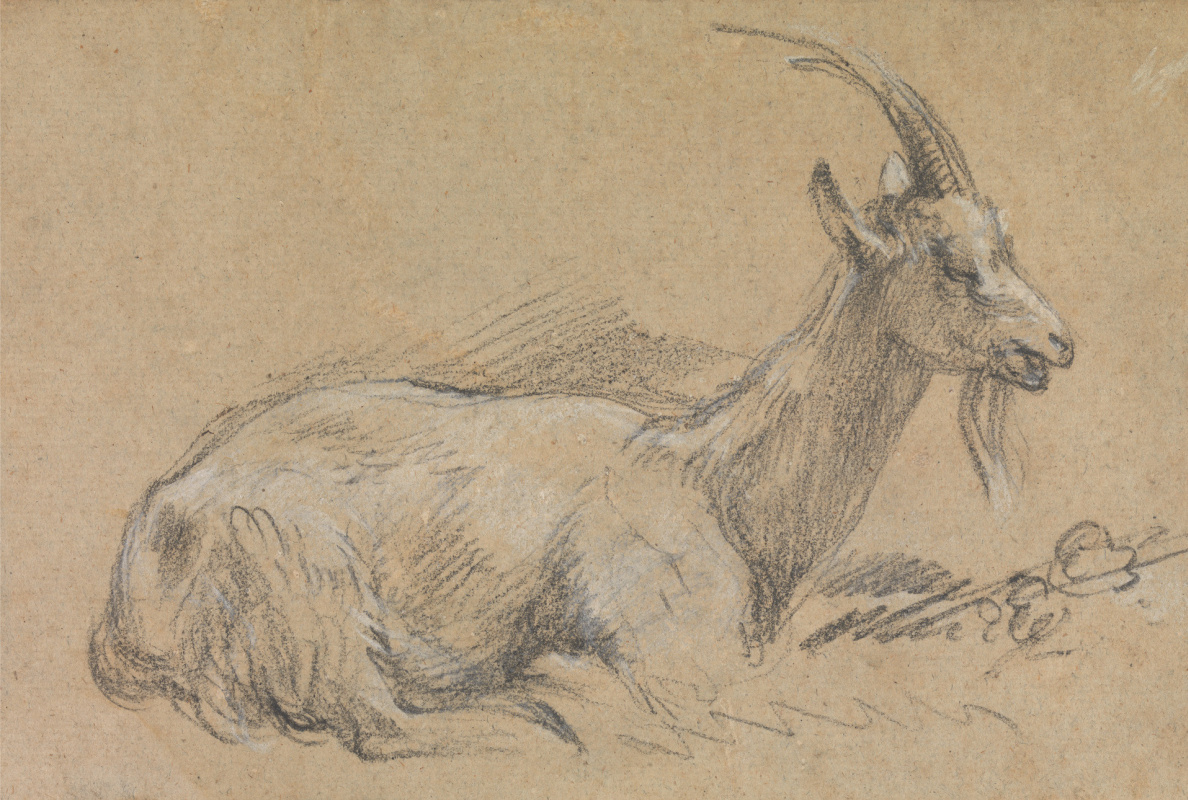 Thomas Gainsborough. Lying goat. Sketch