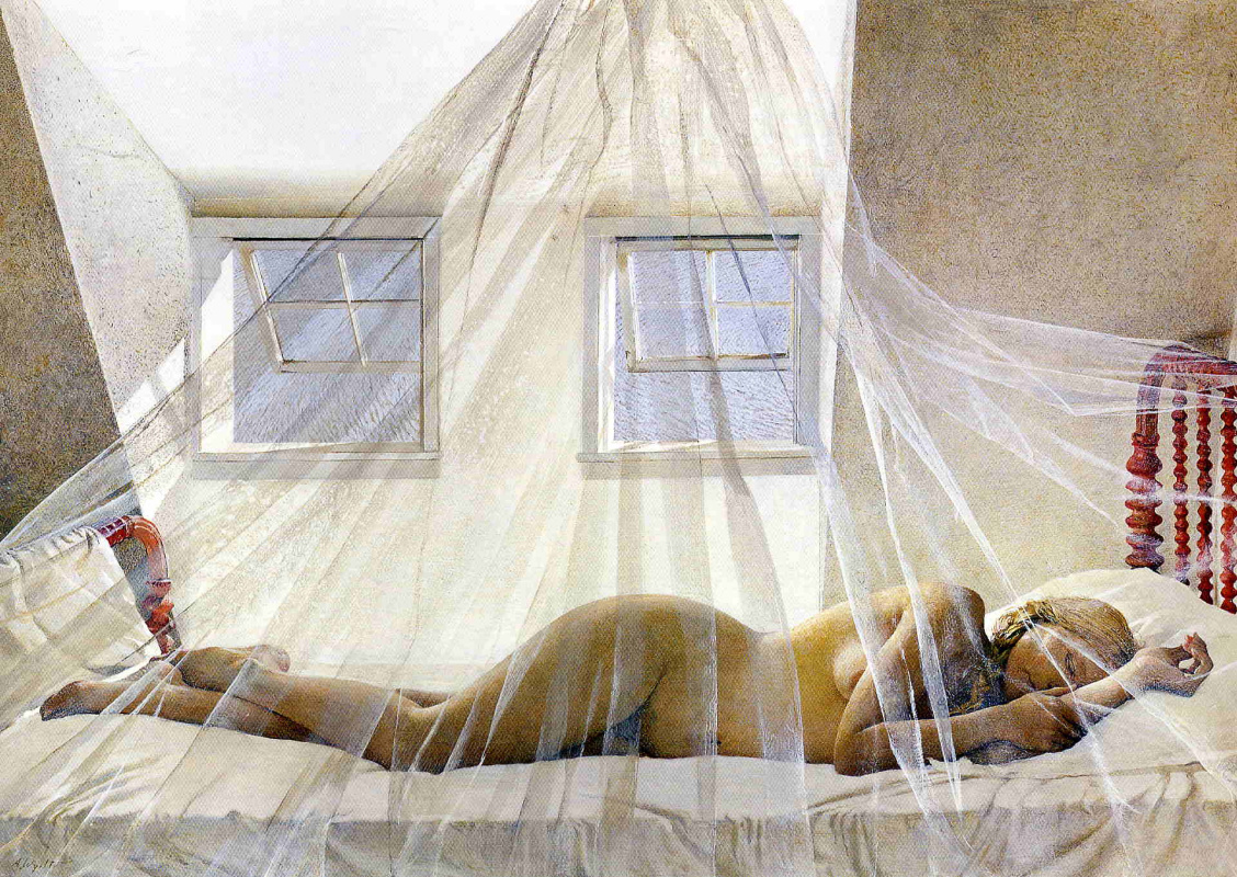 Andrew Wyeth. Daydreams (from the series "Helga")