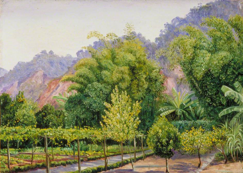 Marianna North. Mr. Morita's Garden, Petropolis, Brazil