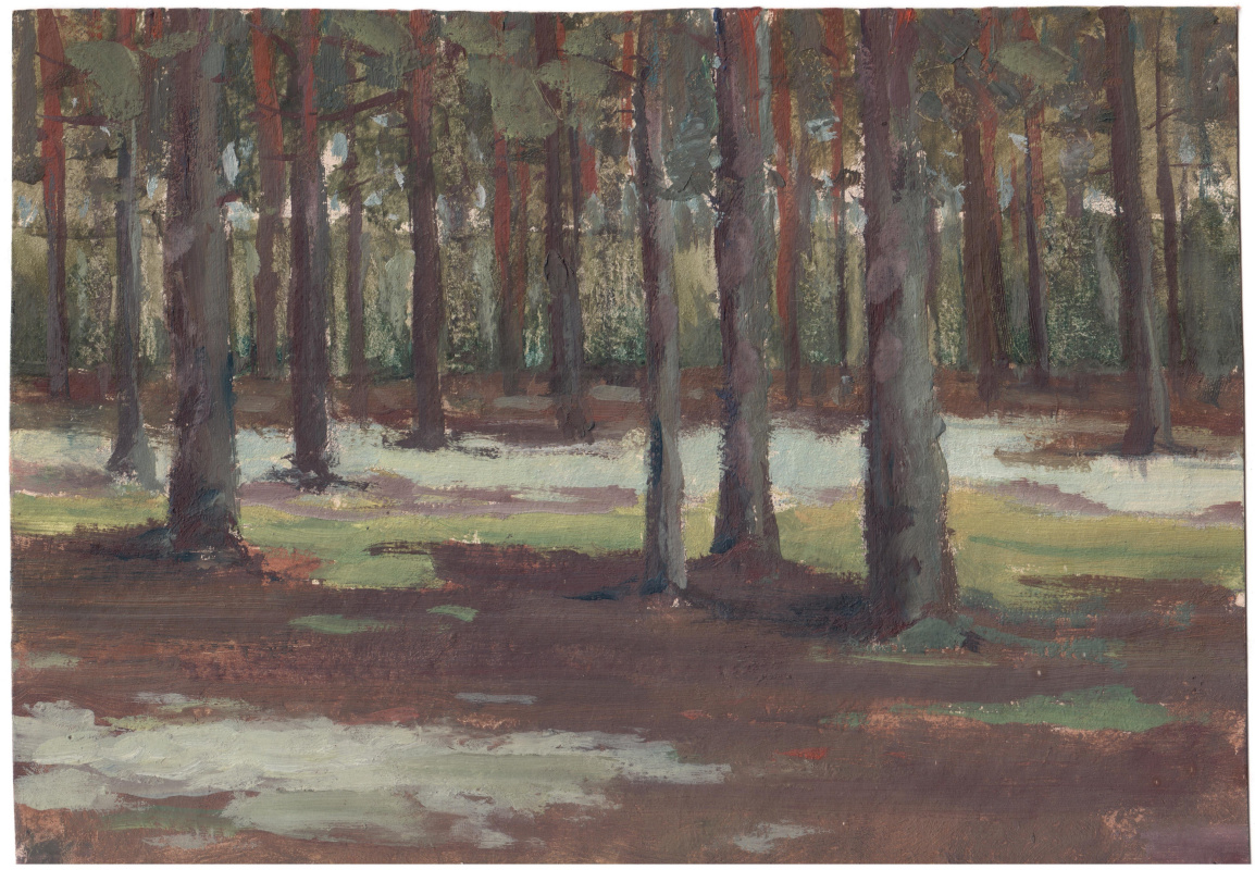 Arkady Pavlovich Laptev. Pine forest