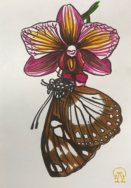 Larissa Lukaneva. Orchid and butterfly. Sketch.