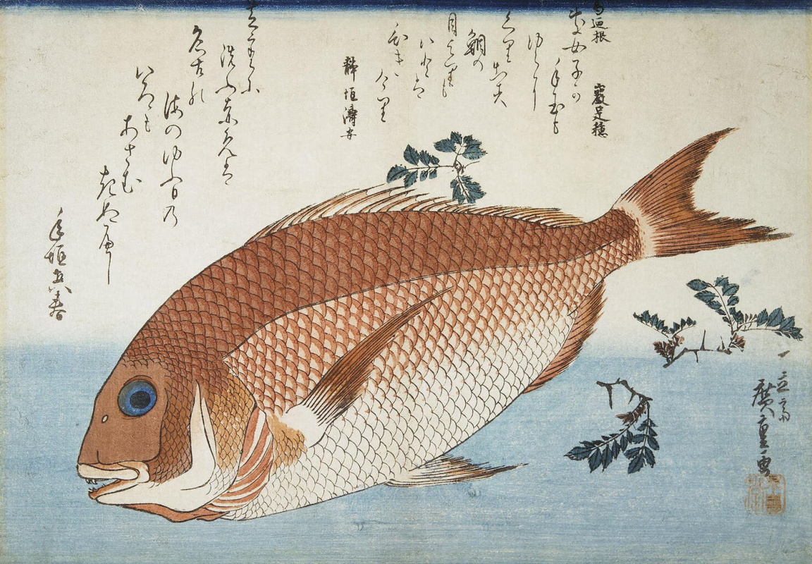 Utagawa Hiroshige. Red sea bream and sansho. pepper. A Series Of "Fish"