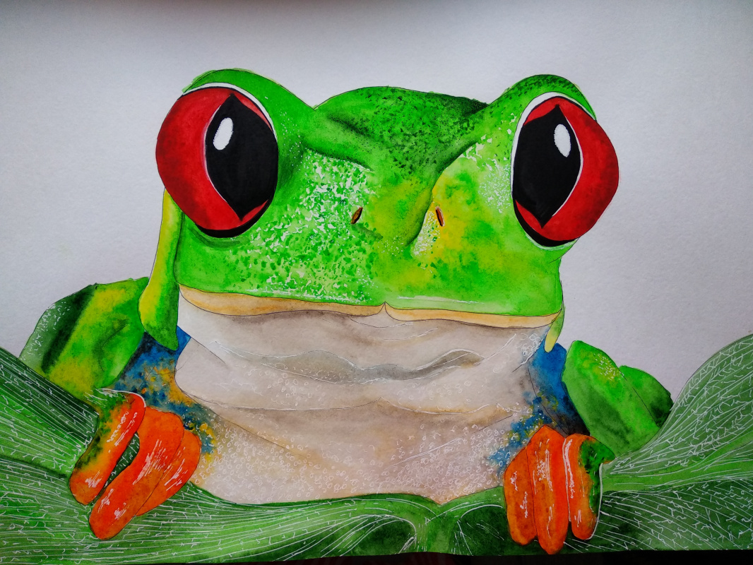 Elena Sergeevna Makarova. Frog