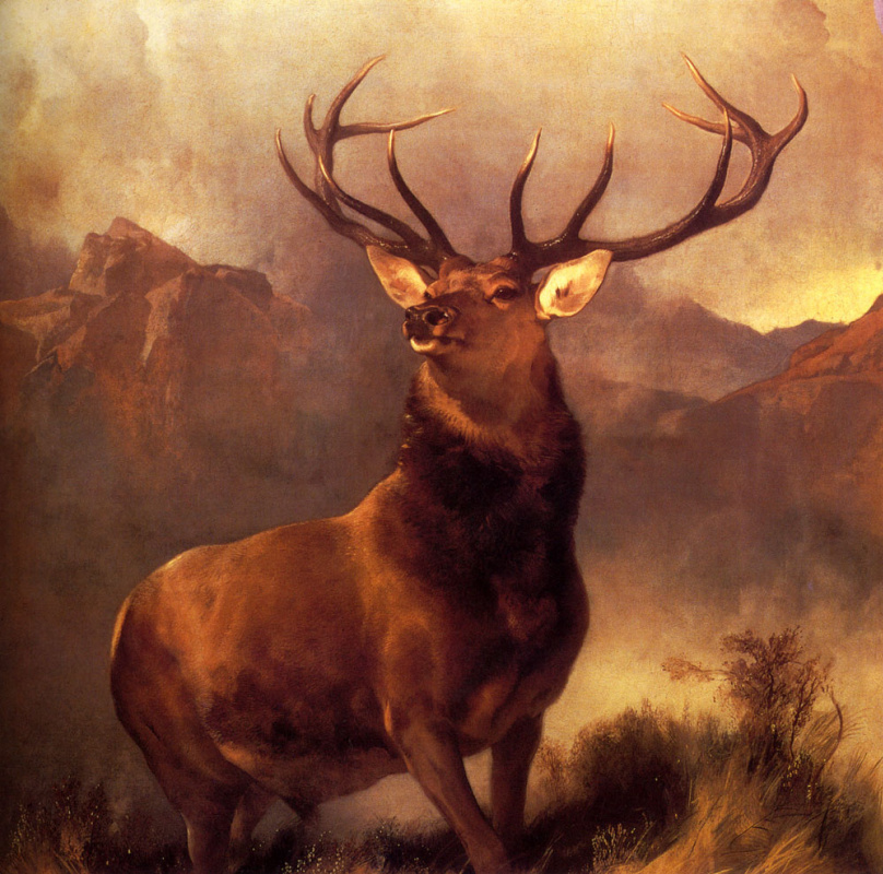 Edwin Henry Landseer. Horns