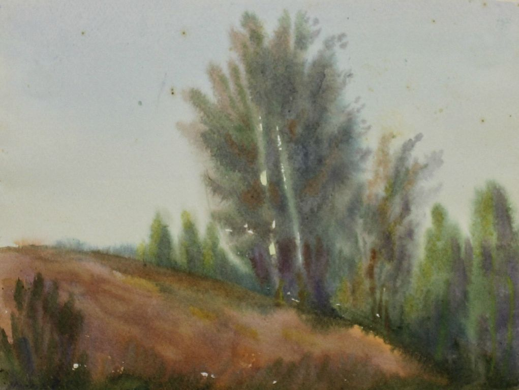 Anatoly Sergeevich Melkov. Karelian landscape