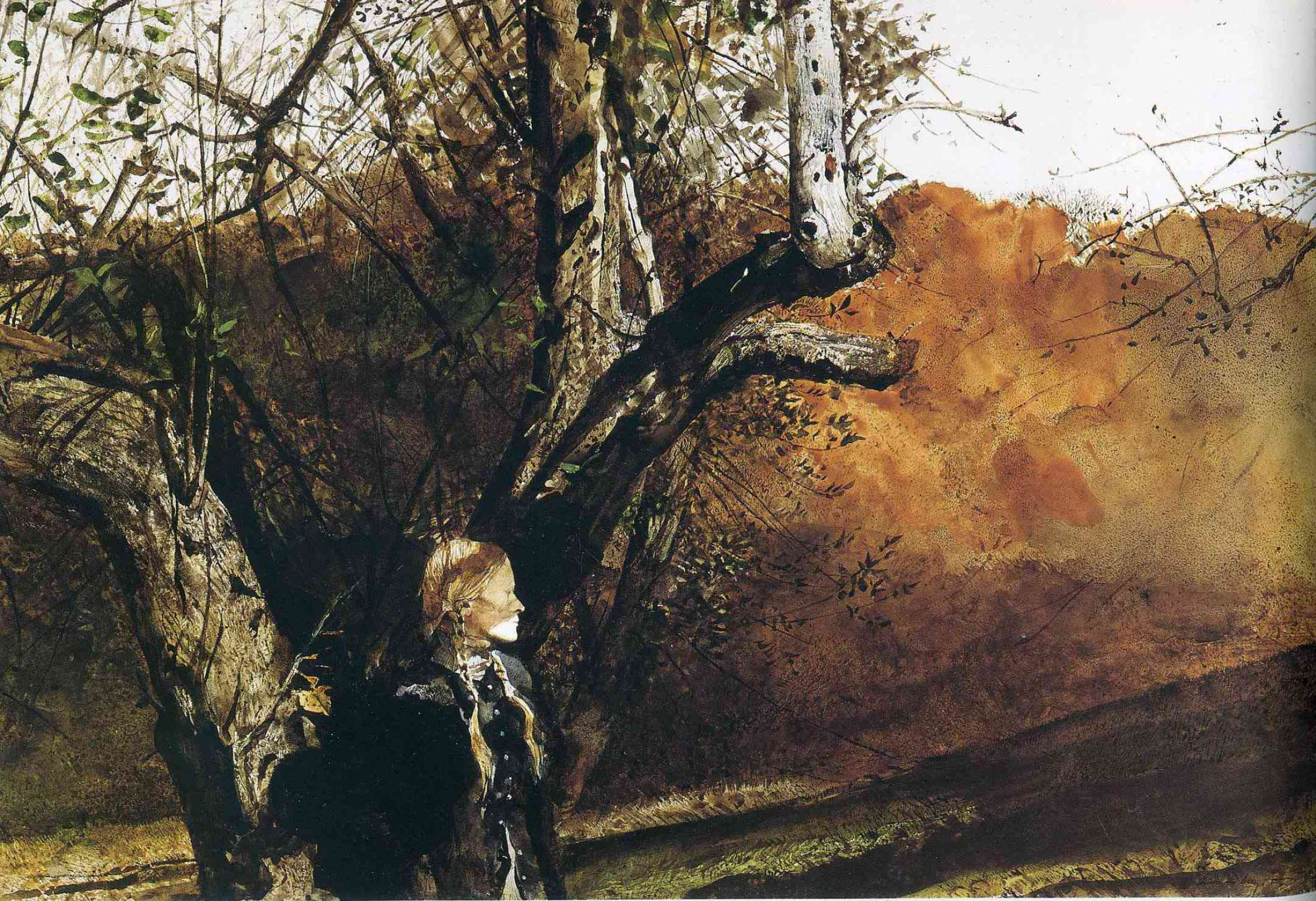 Andrew Wyeth. Asylum