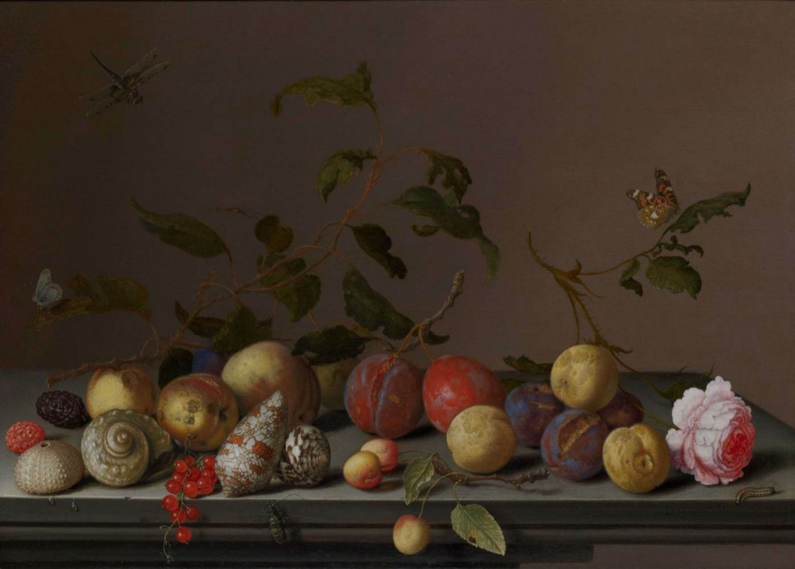 Balthasar van der Ast. Still life with fruit, shells and a rose on a table