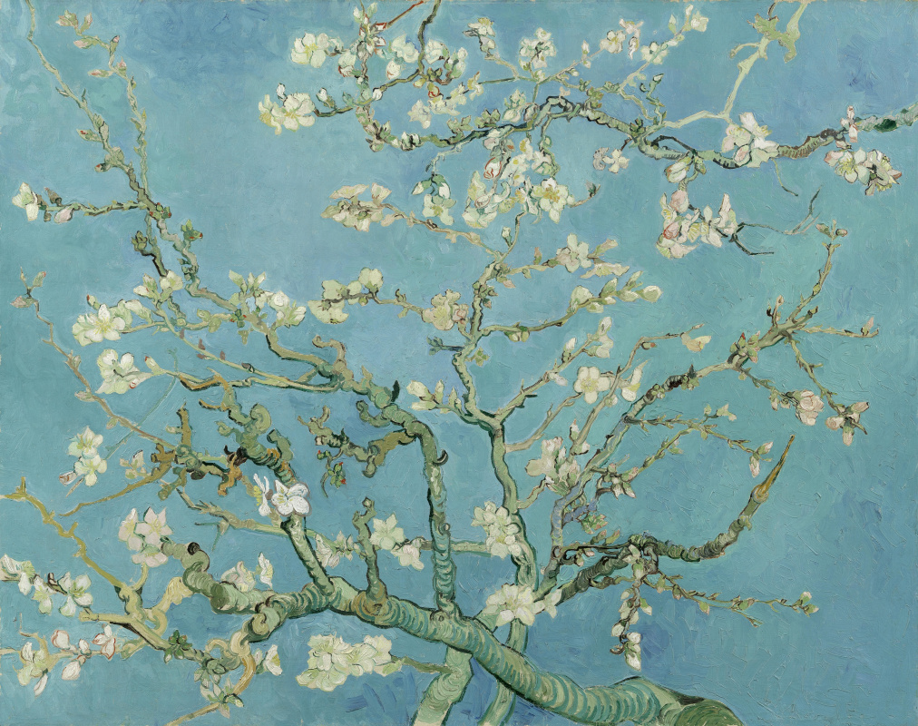 Vincent van Gogh. Flowering almond