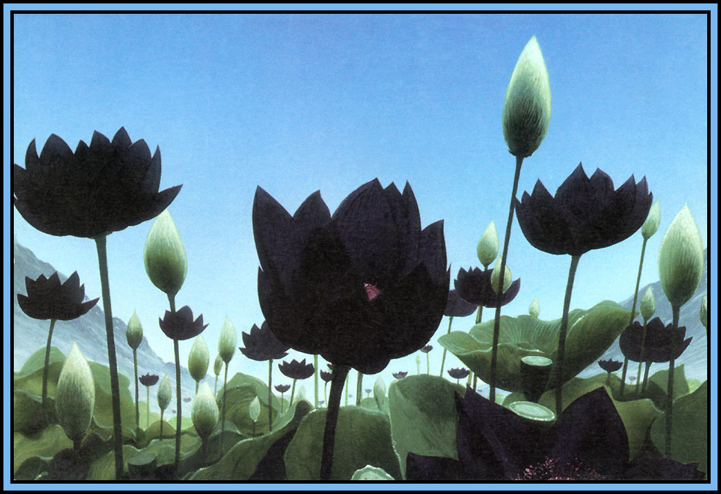 John Avon. Valley of lotuses