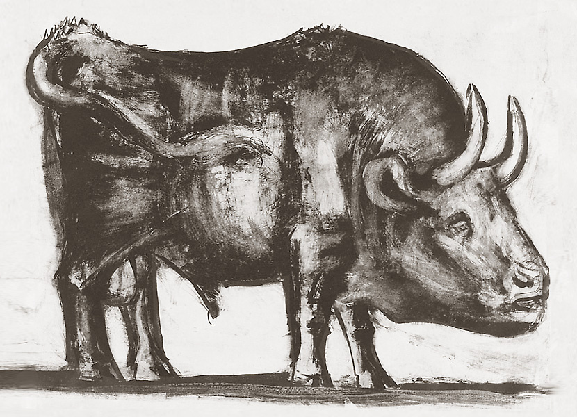 Pablo Picasso. Bull. Stage 2