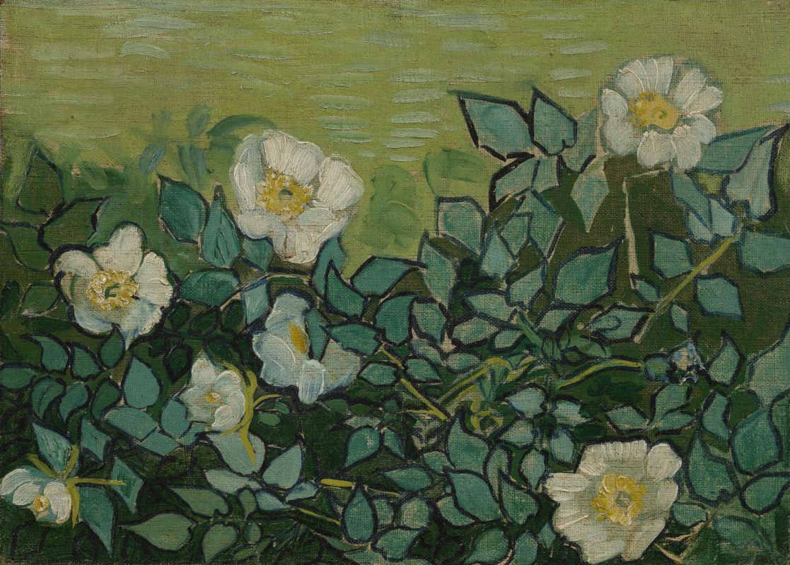 Vincent van Gogh. Wild rose