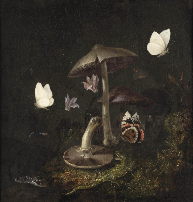 Отто Марсеус ван Скрик. Подлесок с грибами, бабочками, стрекозой, змейки ящерицей