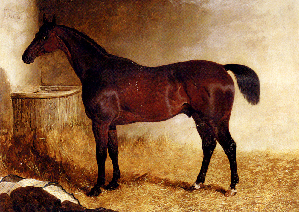 John Frederick Herring. Stallion