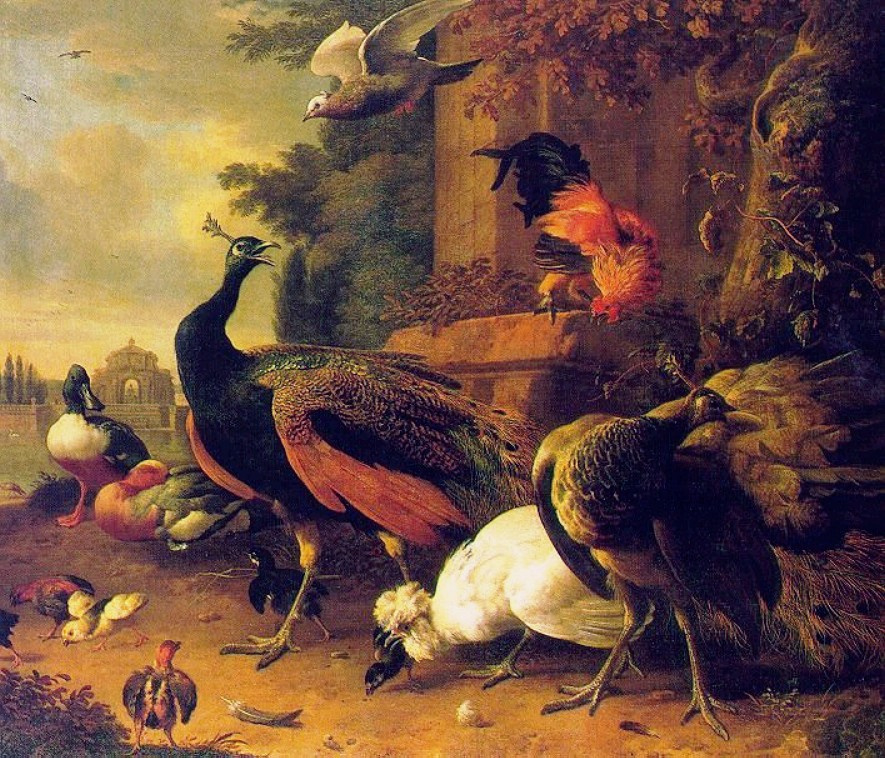 Melchior de Hondecuiter. Birds
