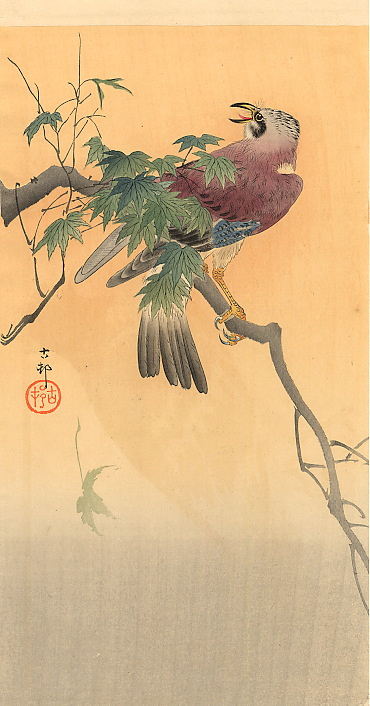 Ohara Koson. Bird on a branch