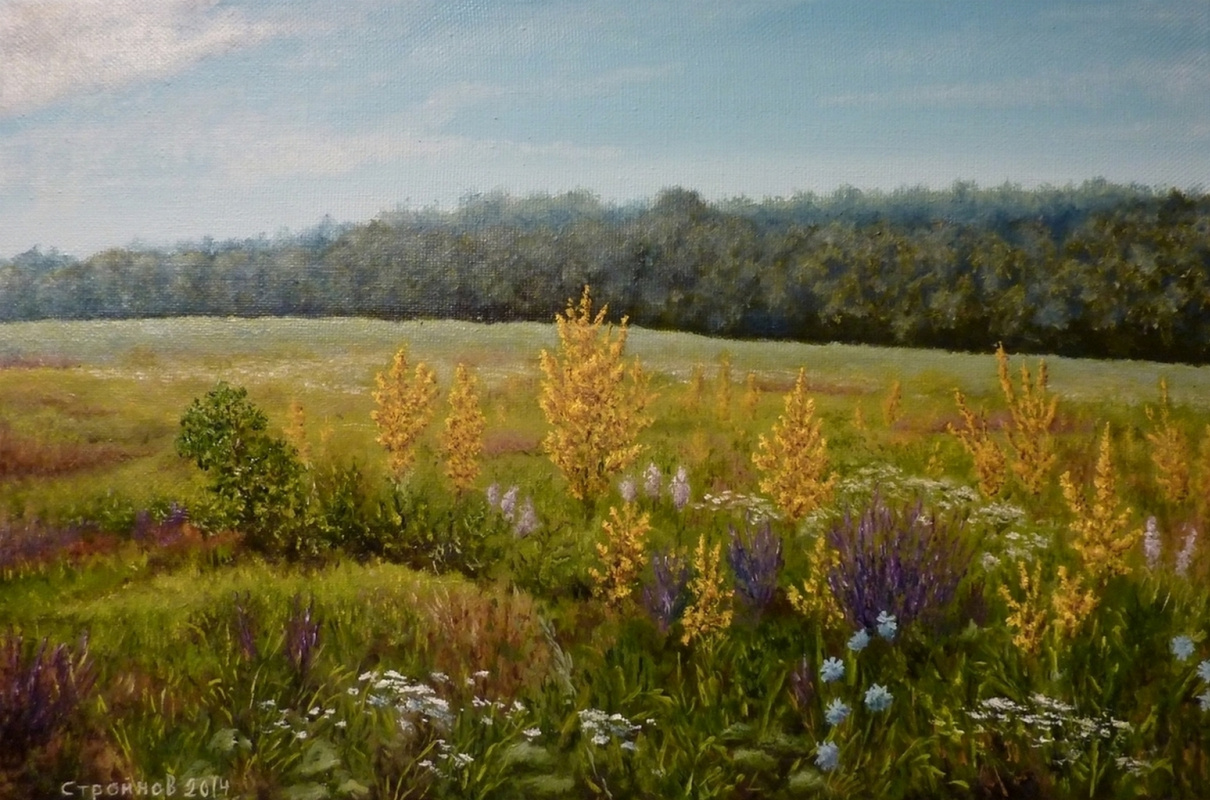Vitaliy Vadimovich Stroynov. "Flowering meadow."