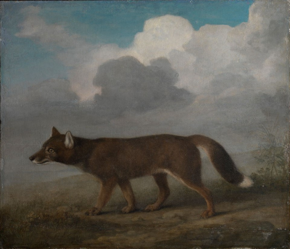 George Stubbs. Large dog (the Dingo)