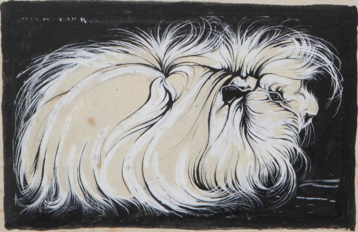 Anton Pieck. Guinea pig