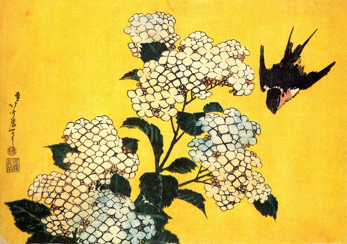 Katsushika Hokusai. Hydrangea and swallow