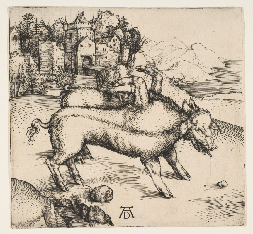 Albrecht Dürer. Pig-freak of Landseer