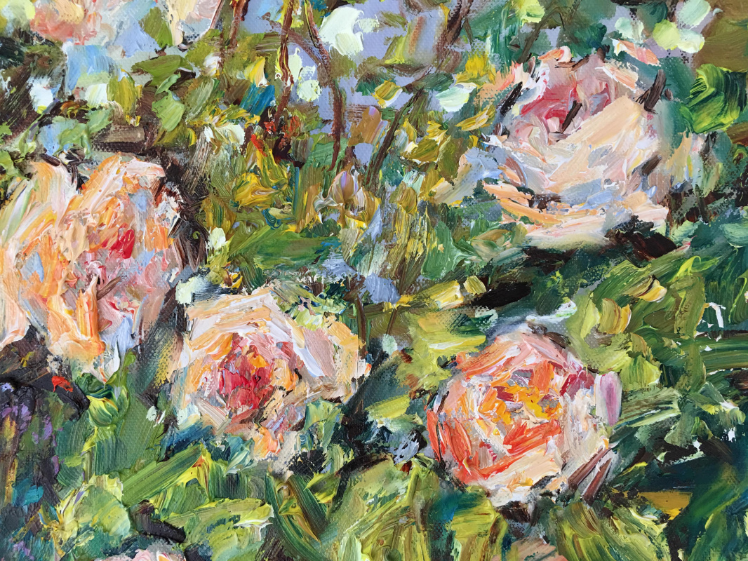 Garden Roses